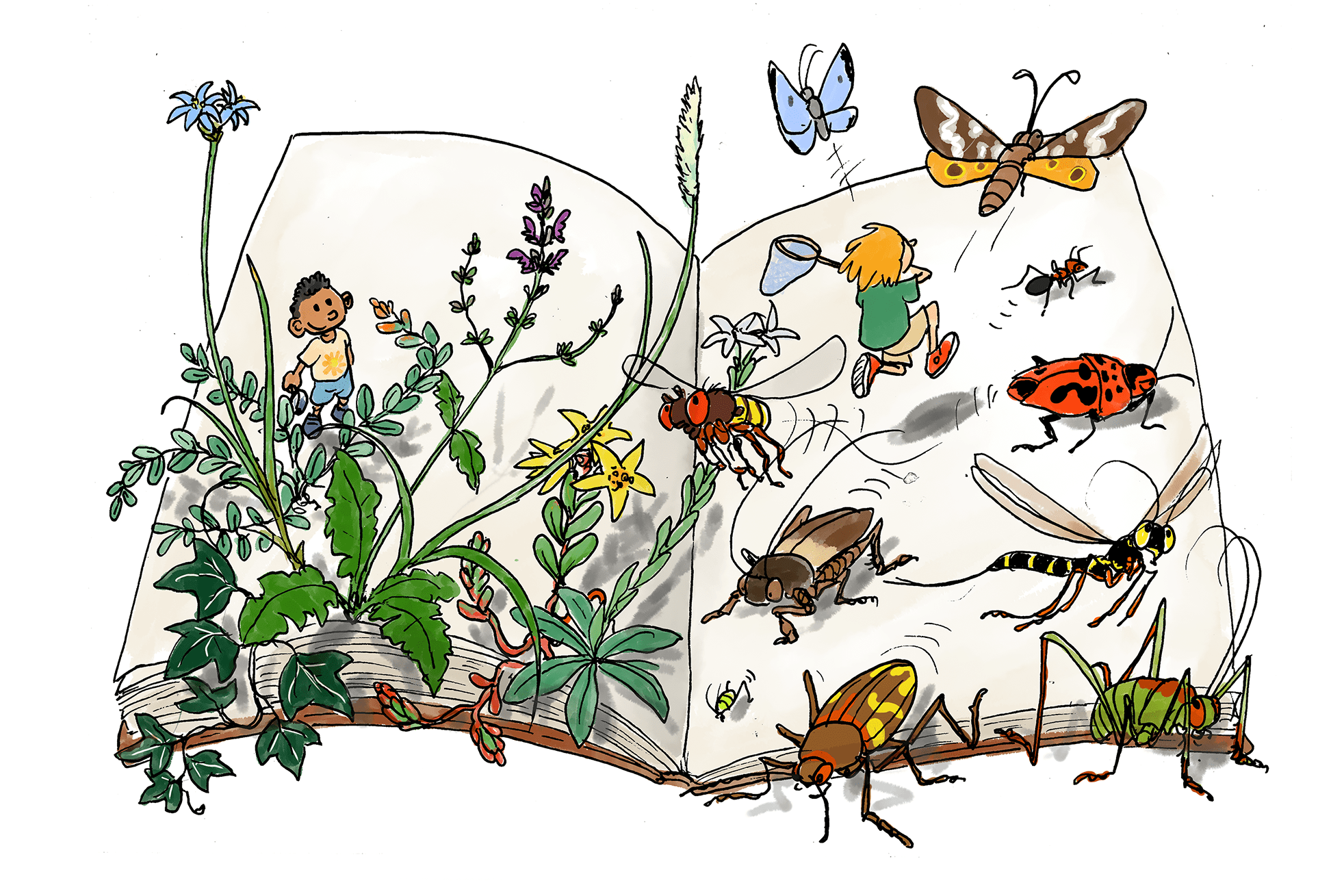 Des plantes et des insectes illustration
